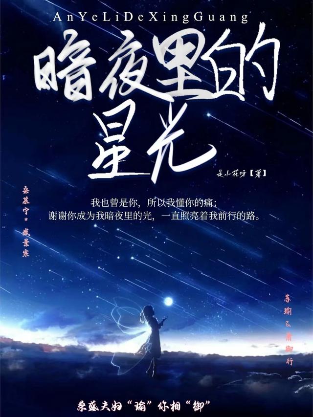 闪耀星夜下的秘密故事，夜场小王子最新章节