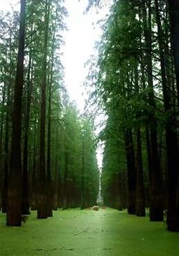 杭州市比赛,友情与欢乐的碰撞盛宴