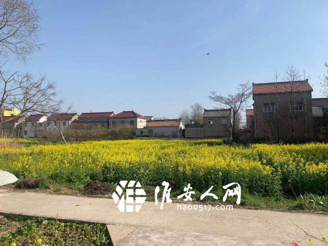 淮安市毛渡村最新动态更新速递