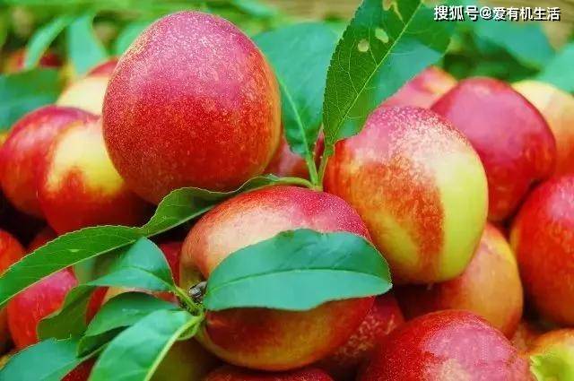 销售燃料油 第221页