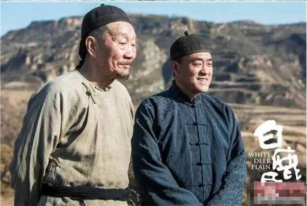 白鹿原最新收视率公布，引发家庭温馨热潮热议