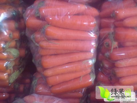 北京国油新能源 第157页