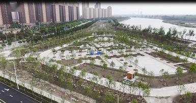 宁河新闻最新动态更新,最新消息速递