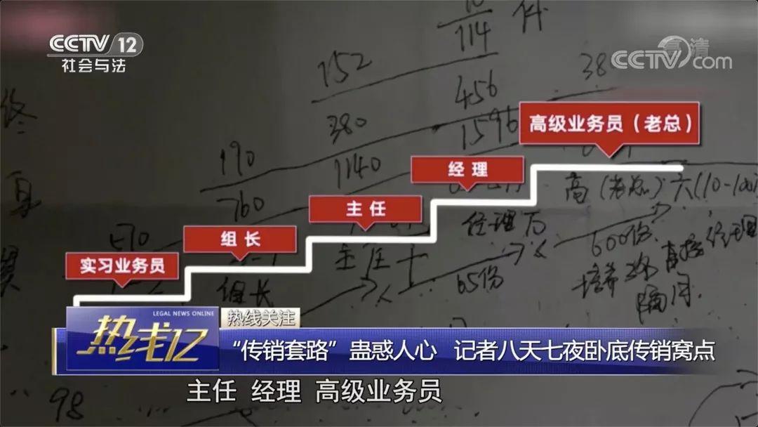 揭秘最新传销现象，深度剖析与观点阐述