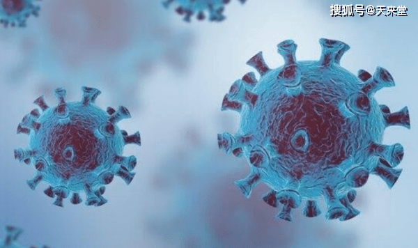 付高峰最新比赛,与自然共舞,探寻内心平和的旅程