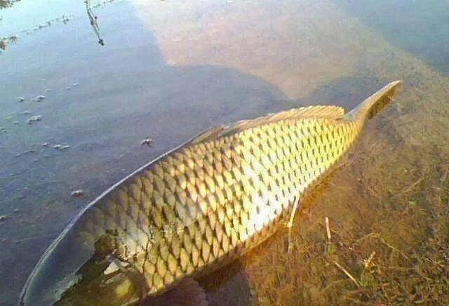 付高峰最新比赛,与自然共舞,探寻内心平和的旅程