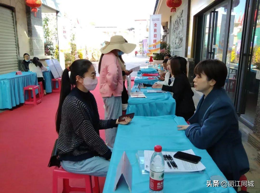 丽江最新招聘信息详解,多元解读与个人立场探讨