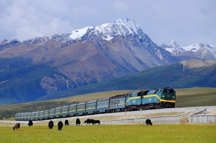 乔良最新,自然美景的治愈之旅探索