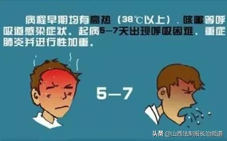 H7N9禽流感最新动态与小巷美食探秘