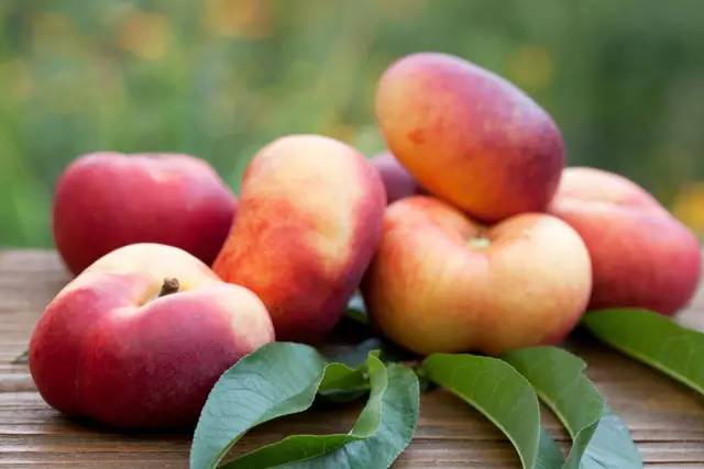 油桃最新品种与家的温馨故事揭秘