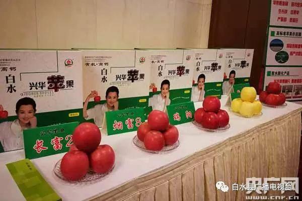 新能源领域研发 第92页