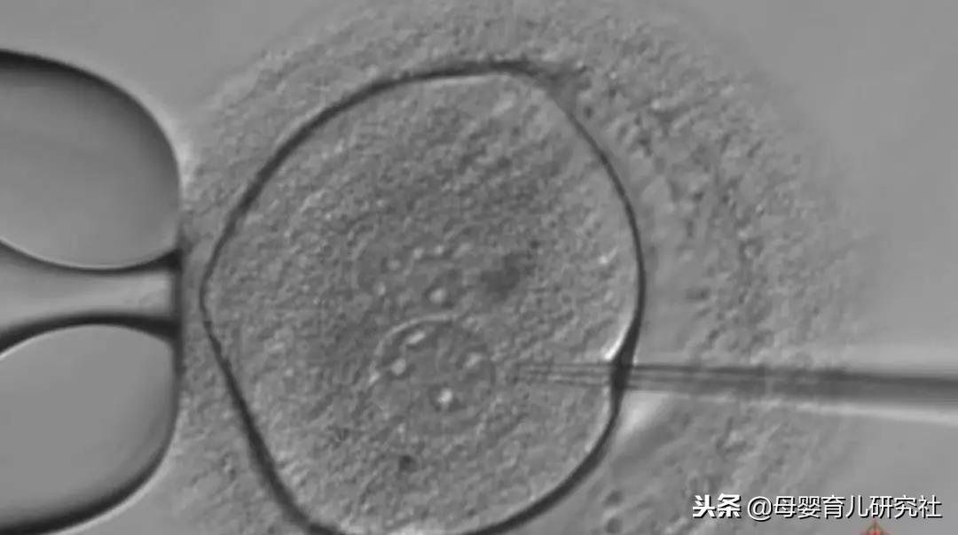 新能源汽车 第47页