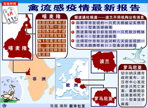 禽流感最新动态,全面步骤指南与最新报道速递