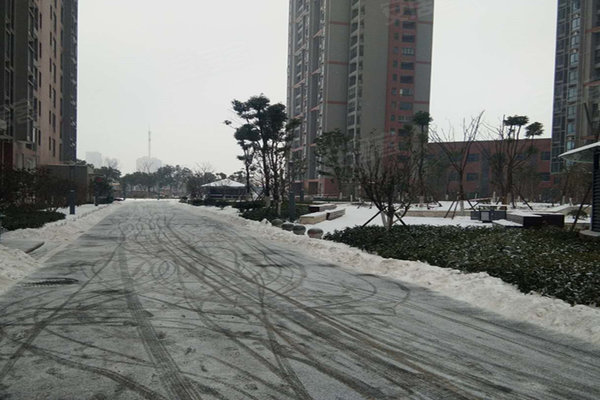 健龙果岭公元最新消息揭秘,未来规划与进展速递