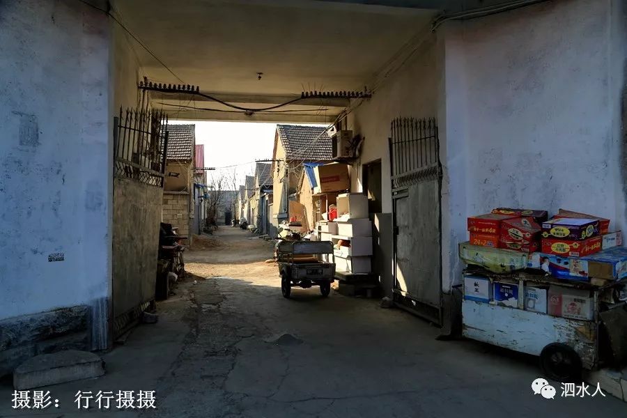 临泉房屋出租最新动态,小巷深处的特色小店等你来发现!