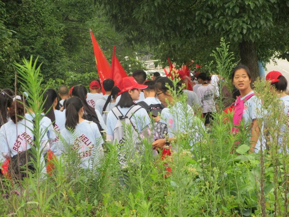 龙口高铁站最新动态更新,最新消息汇总