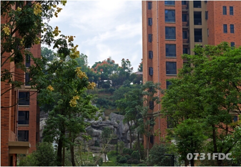 最新动态更新 第14页