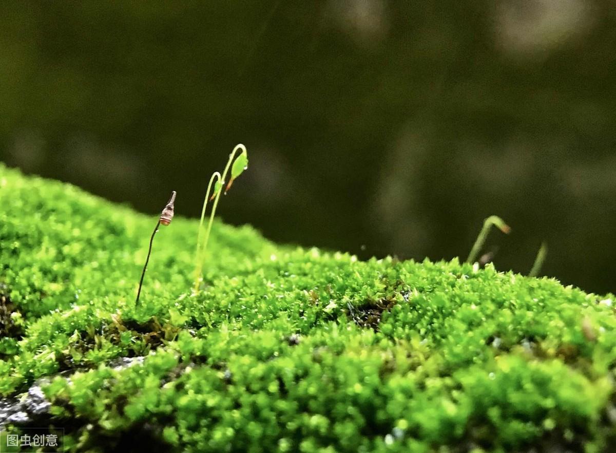 慈溪三师傅引领自然探索之旅，追寻内心宁静之地的最新报道