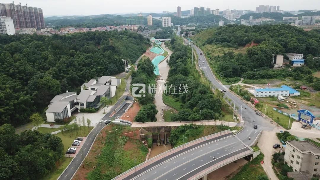 株洲渌枫大道，最新动态与励志之旅的启程