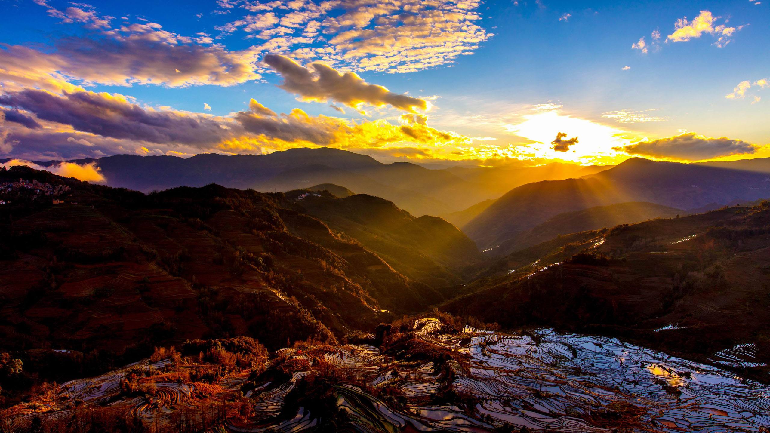 国网最新动态,自然美景的治愈之旅探索