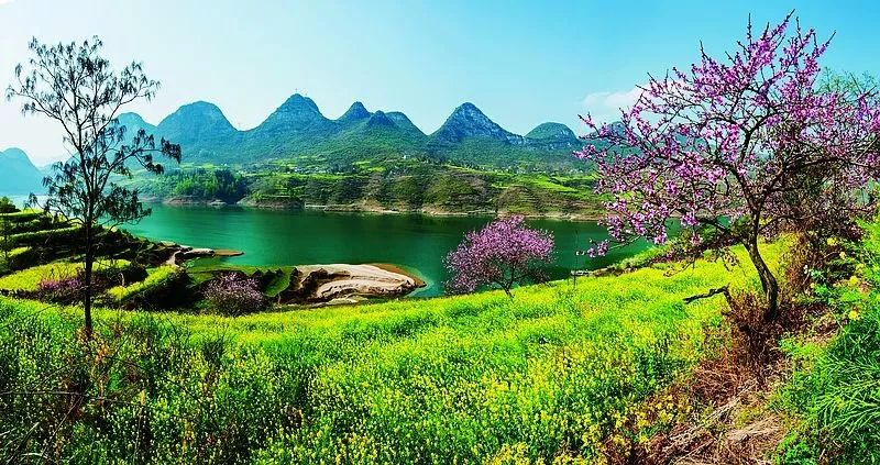 国网最新动态,自然美景的治愈之旅探索