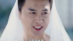 神级狂婿岳风最新免费版,科技巅峰与生活之翼的完美结合