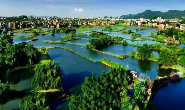 清远发展规划更新资讯,最新动态揭秘