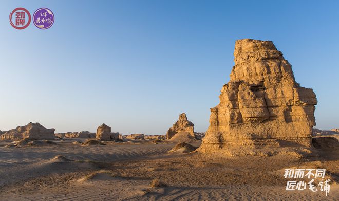 最新熏艾，绿色之旅，寻找内心平静的旅程