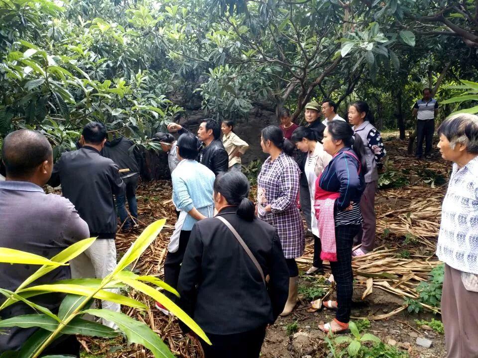大兴楼盘最新动态,科技重塑未来居住体验