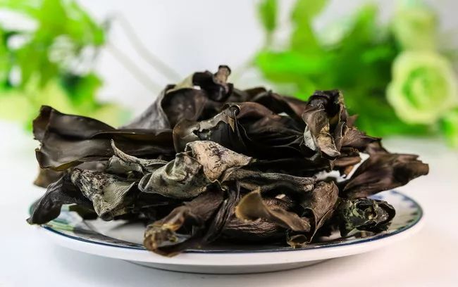 高科技产品的革新之旅,腌去也最新