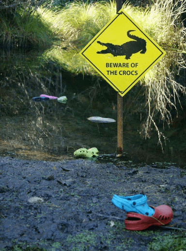 倒霉死勒?不!自然美景的幸运起点探索