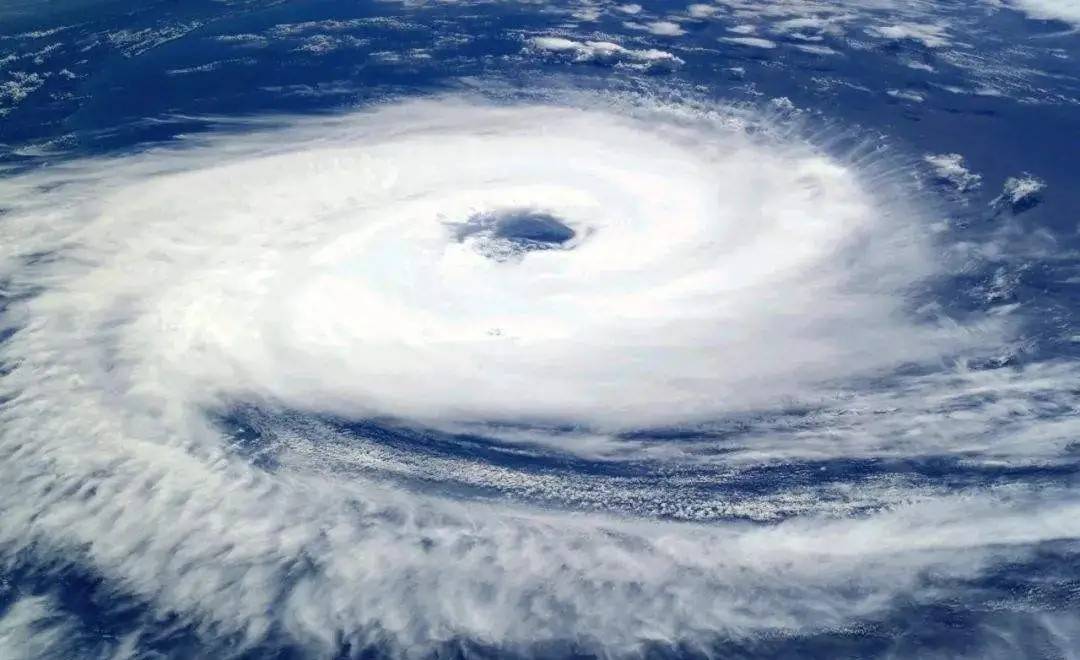 风白最新作品揭秘当代艺术独特魅力