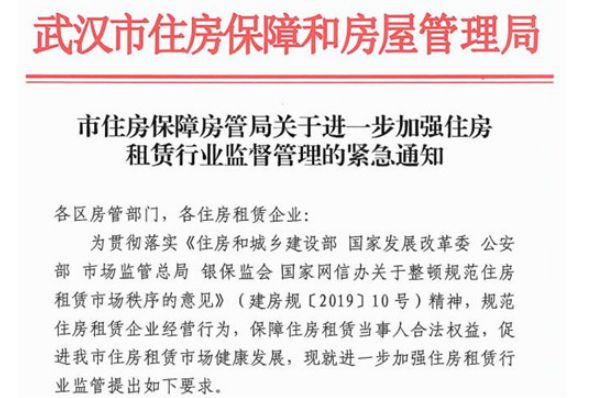 成都蛋壳公寓最新动态与小巷深处的隐藏特色小店揭秘