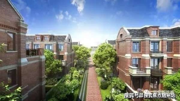 鲍毓明案最新进展与深度解析