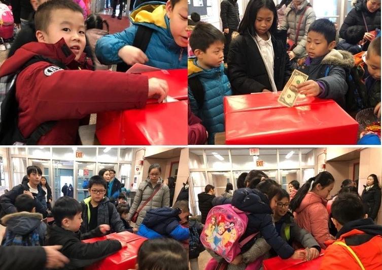 最新疫情感染年龄,一场变化中的学习与成长之旅。