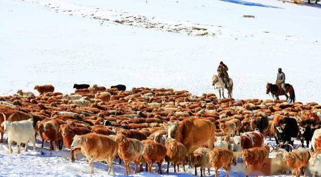 肥鲨最新款带你探索自然美景,寻找内心平静之旅
