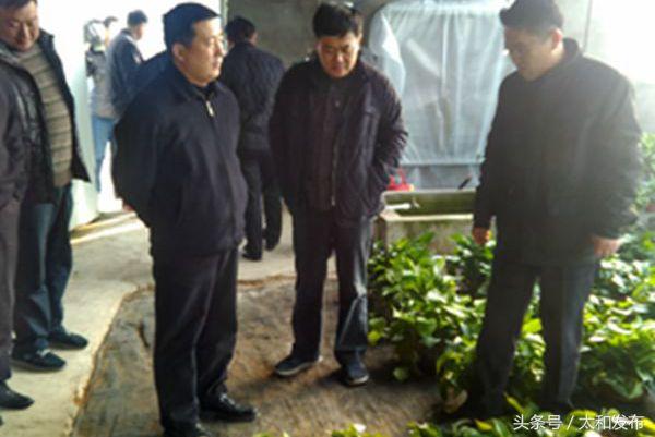 老梁最新版高科技产品介绍概览