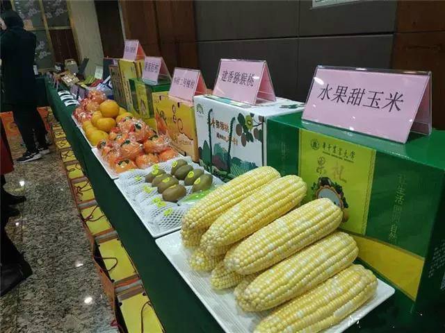 黄梅县最新新闻报道速递