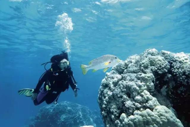 最新i5u，自然美景探索之旅，寻找内心平和之地