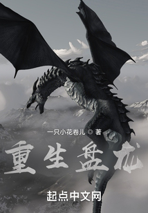 超越想象的奇幻之旅,盘龙最新章节更新速递