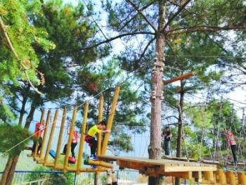 QQ等级最新更新,自然美景探险之旅,探寻内心平和宁静的旅程