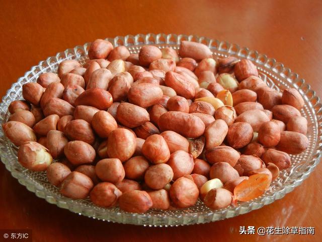 山东花生米价格实时更新与最新行情分析