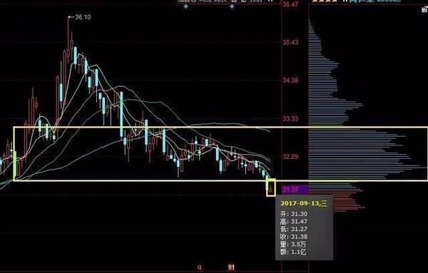 股票最新动态,市场透视与个人立场观察
