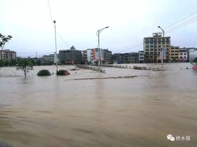 修水最新动态,小巷深处的独特风味揭秘