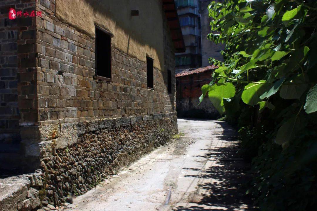 修水最新动态，小巷深处的独特风味揭秘