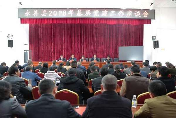 永善县最新领导班子观点论述概览