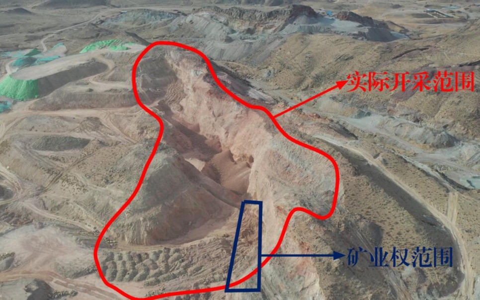 黑龙江毁林种参事件最新进展