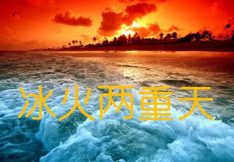 BOPP行情,自然美景的心灵之旅