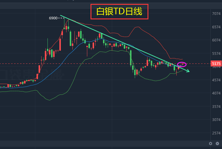 TD行情,友情与陪伴的温馨日常