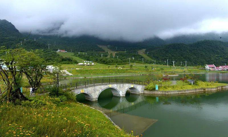 美联最新动态揭秘,小巷特色小店的独特魅力与隐秘宝藏